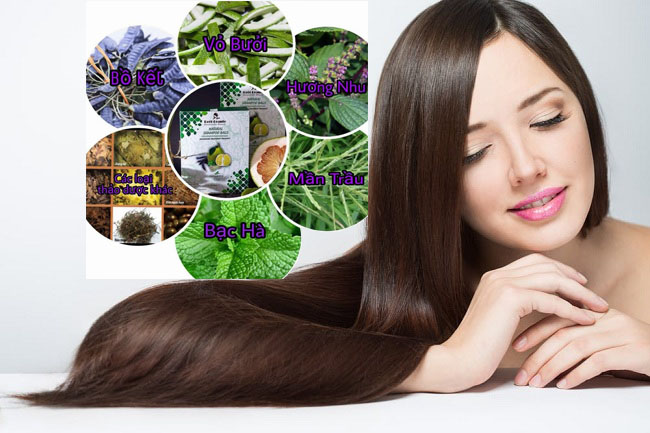 tui-loc-goi-dau-thien-nhien-thy-va-vy-reel-beaute